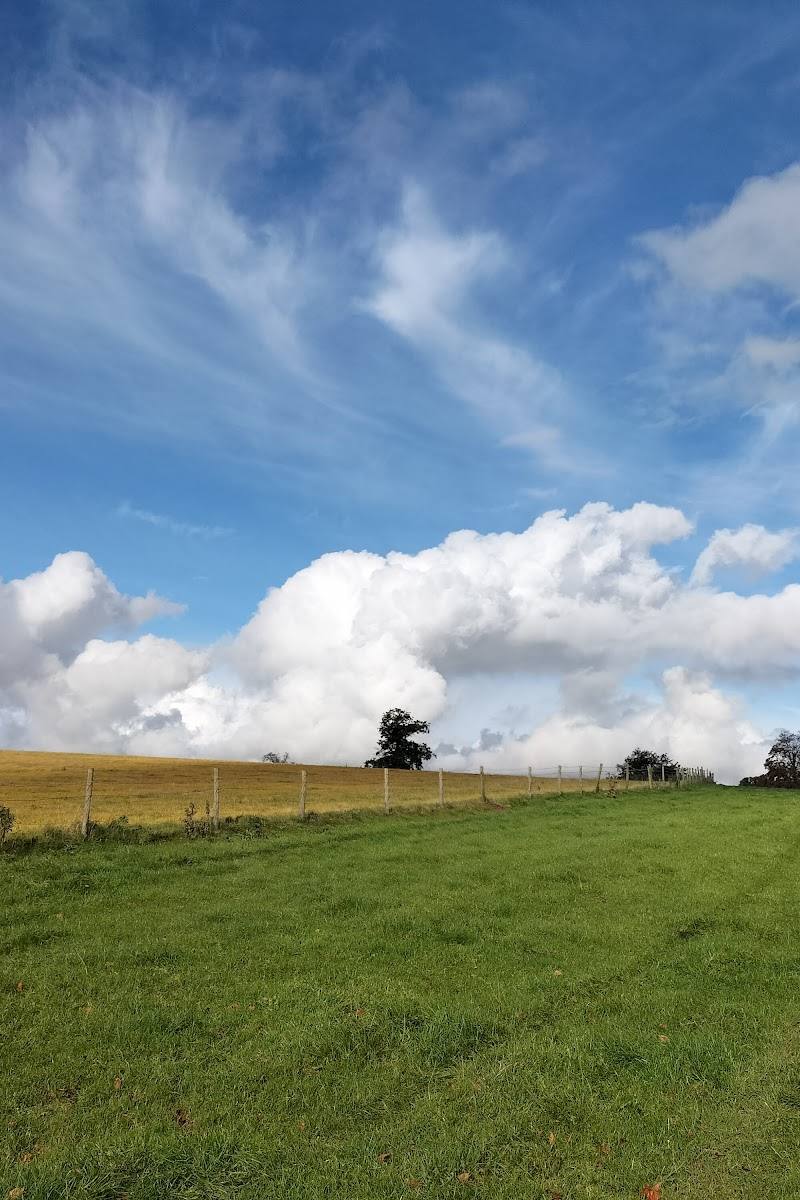 National Trust – Chilterns Countryside — Place photograph (2 of 3)