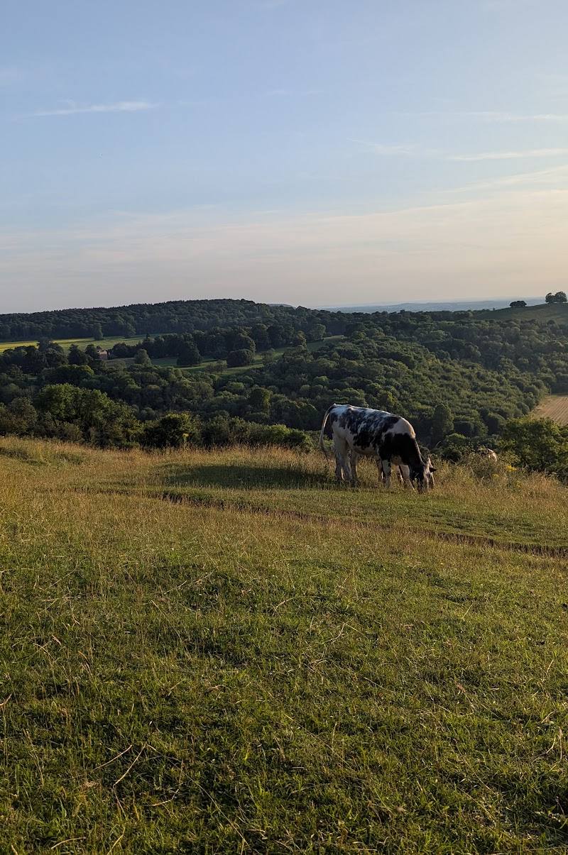 National Trust – Chilterns Countryside — Place photograph (3 of 3)