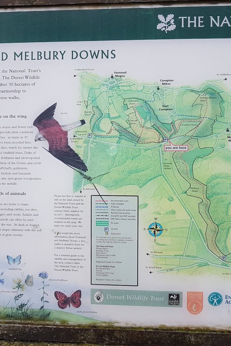 National Trust - Fontmell and Melbury Downs