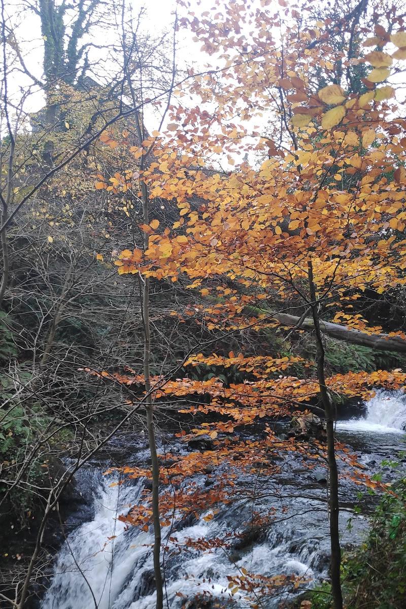 National Trust - Gleno
