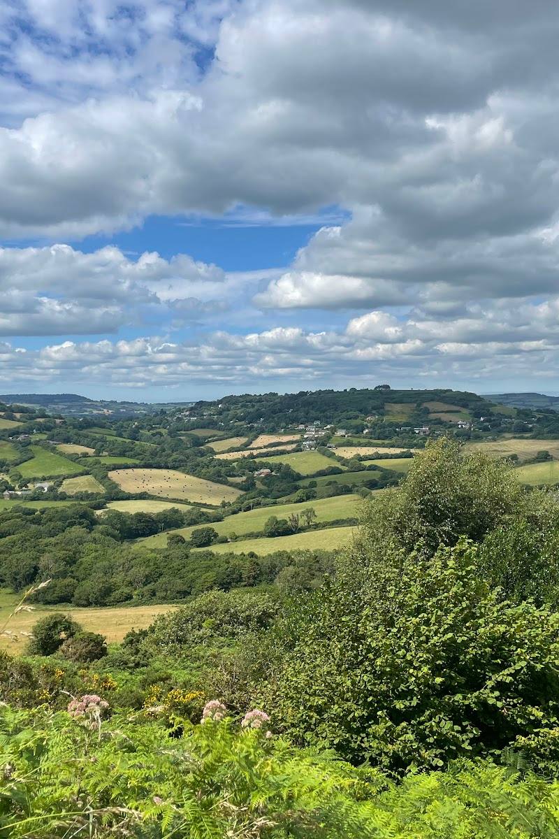 National Trust - Golden Cap