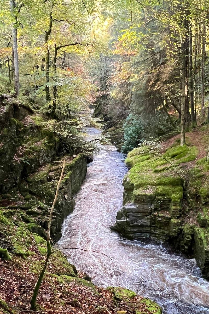 National Trust – Hafod Estate — Place photograph (3 of 3)