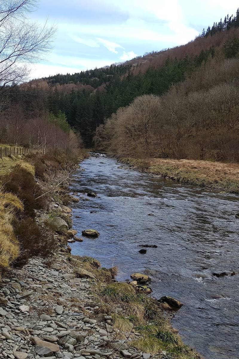 National Trust – Hafod Estate — Place photograph (2 of 3)