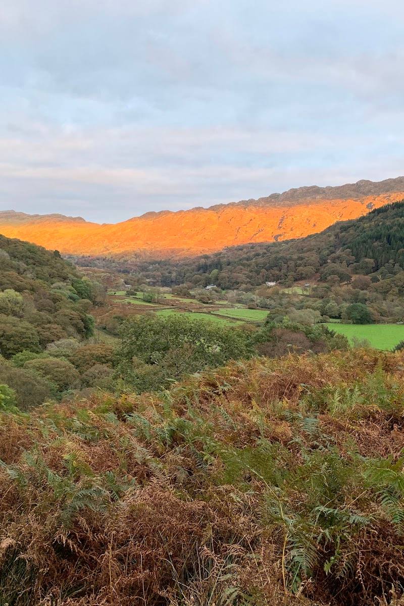 National Trust Hafod y Llan Campsite — Place photograph (2 of 3)