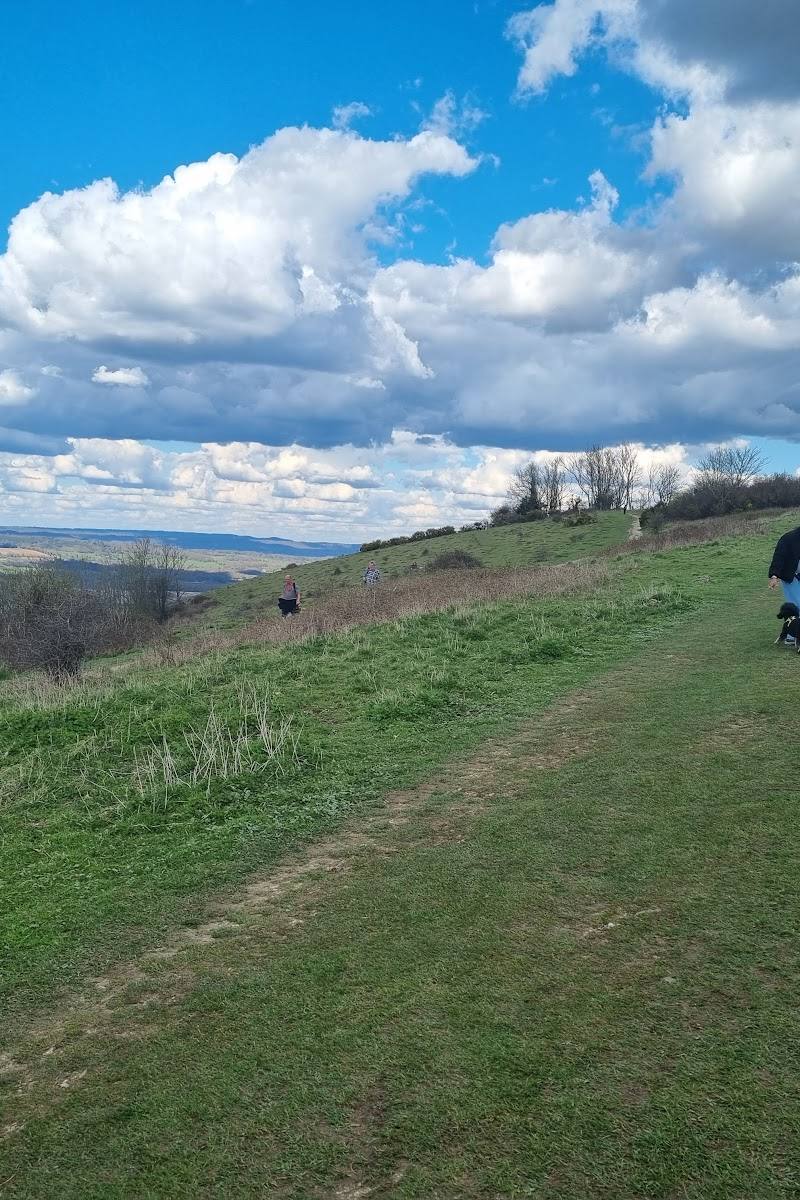 Harting Down — Place photograph (2 of 3)