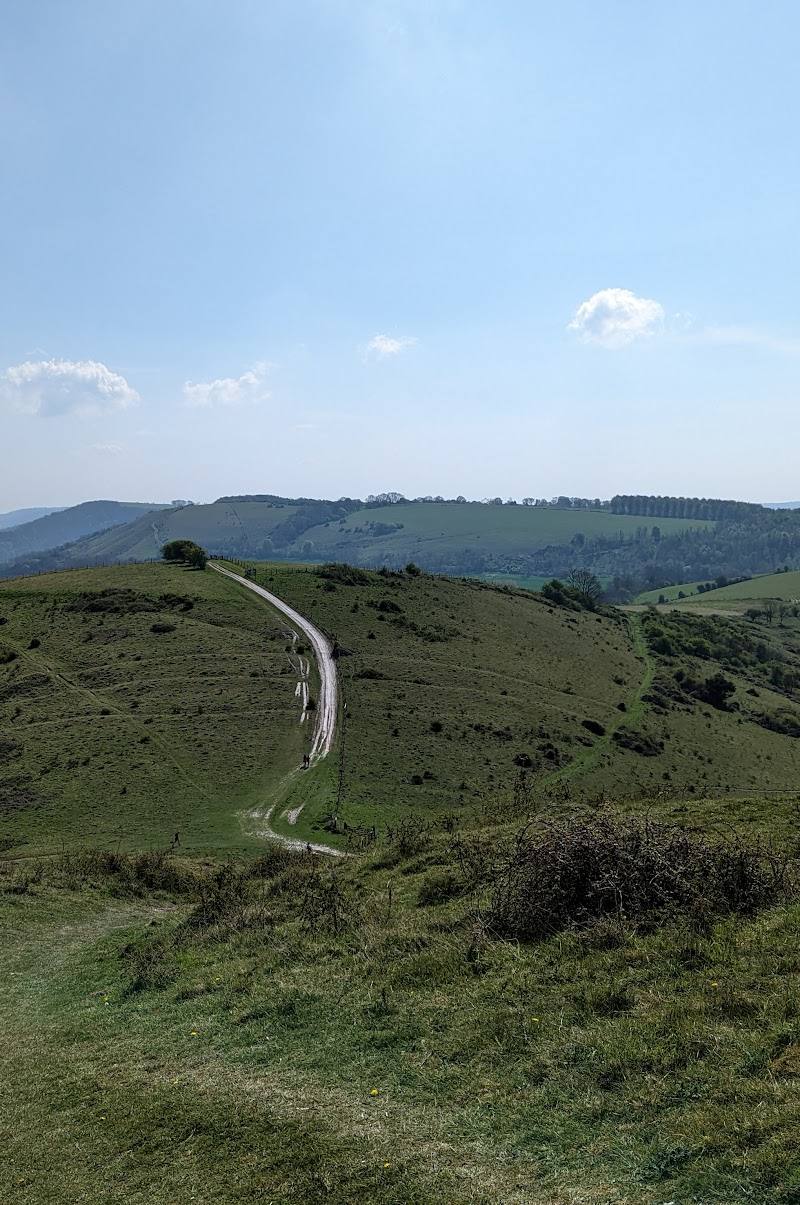 Harting Down — Place photograph (3 of 3)
