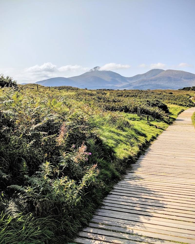 Murlough National Nature Reserve — Source image
