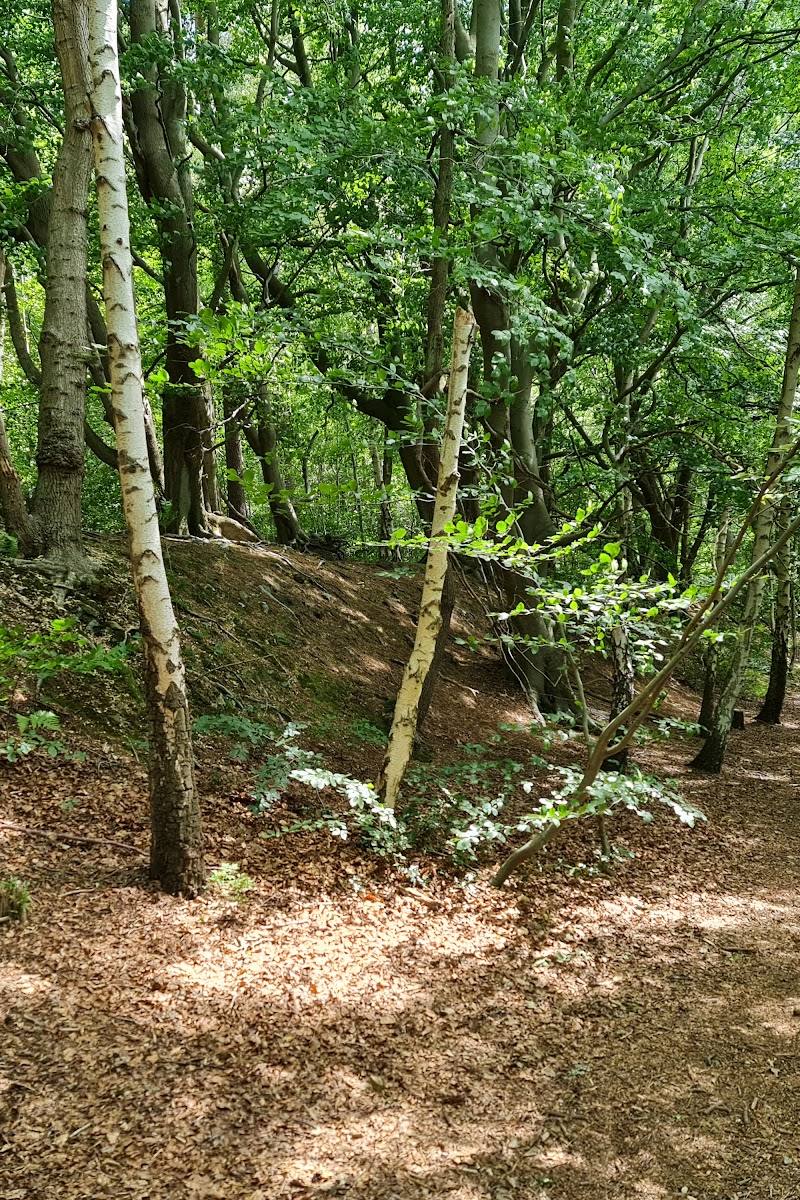 National Trust - Oldbury Hill