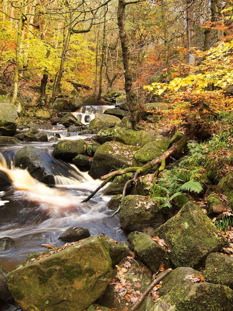 National Trust Padley Gorge — Place photograph
