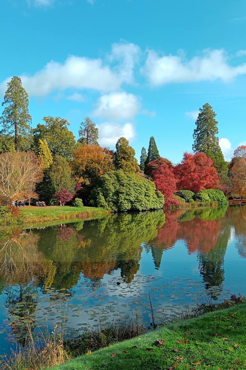 Sheffield Park and Garden — Place photograph