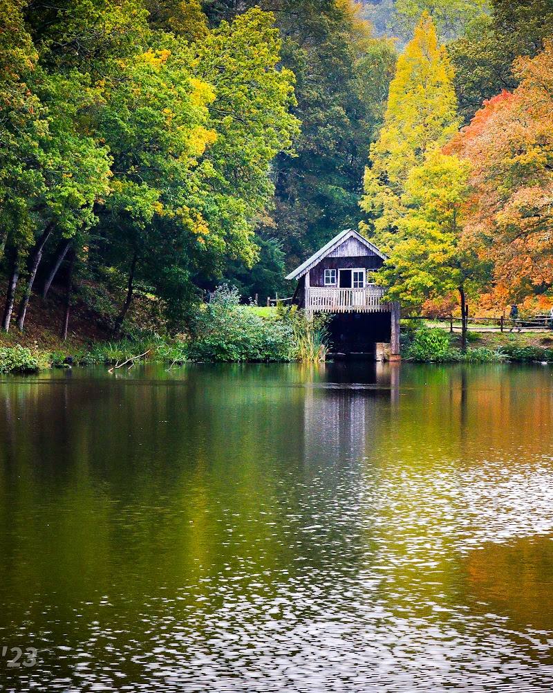 National Trust - Winkworth Arboretum