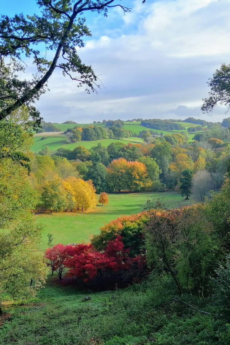 Winkworth Arboretum — Place photograph