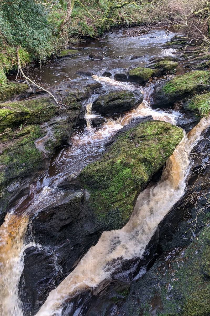 Ness Country Park — Place photograph (1 of 3)