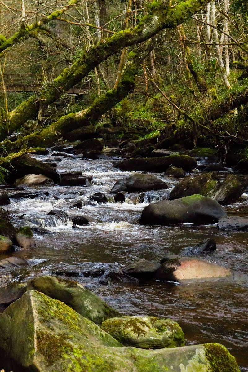 Ness Country Park — Place photograph (3 of 3)