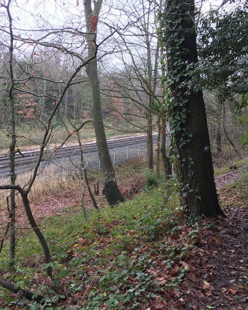 New Cross Gate Cutting, London Wildlife Trust — Source image