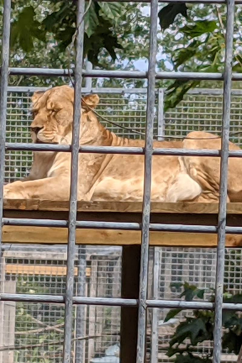 Newquay Zoo — Place photograph