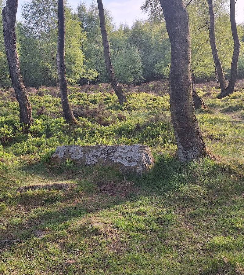 Nine Ladies Stone Circle