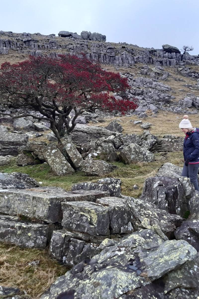 Norber erratics