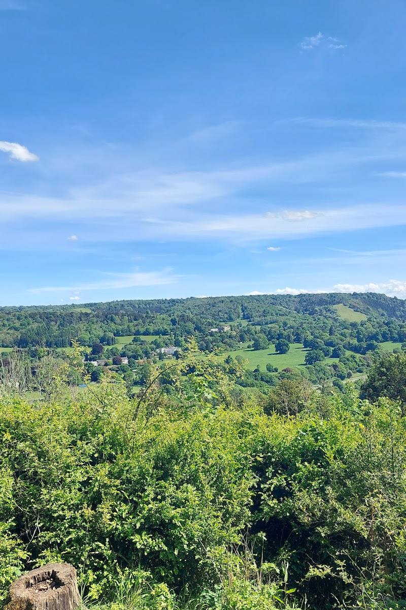 Norbury Park Viewpoint — Place photograph
