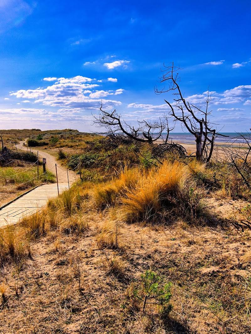 Holme Dunes — Place photograph (3 of 3)