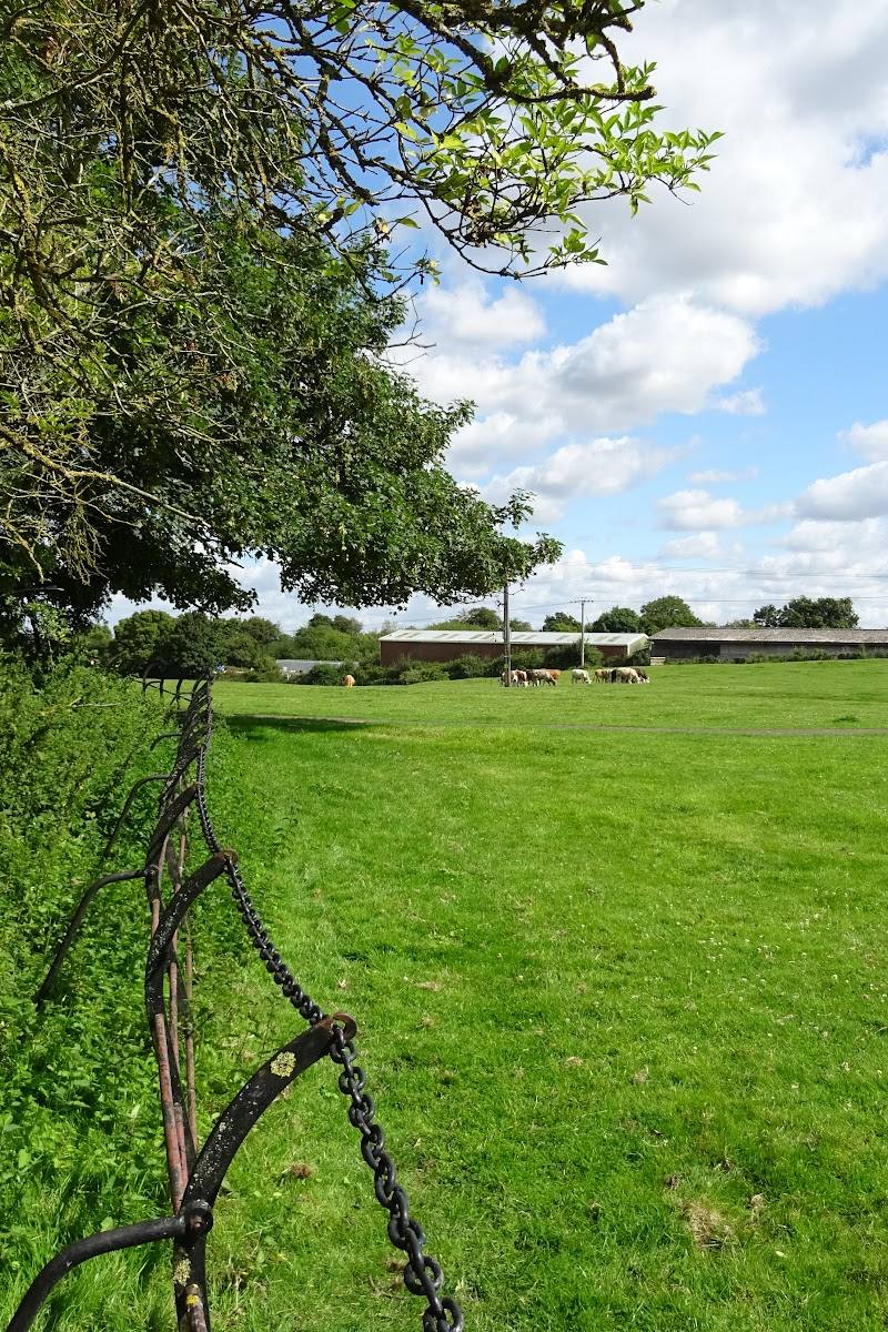 Wolverton Castle & Medieval Village — Place photograph (1 of 3)