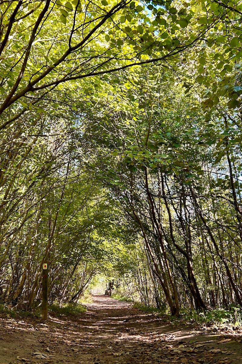 Nower Wood Educational Nature Reserve — Place photograph