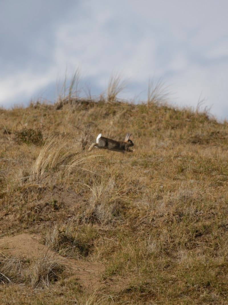 NWT Holme Dunes Nature Reserve — Place photograph (3 of 3)