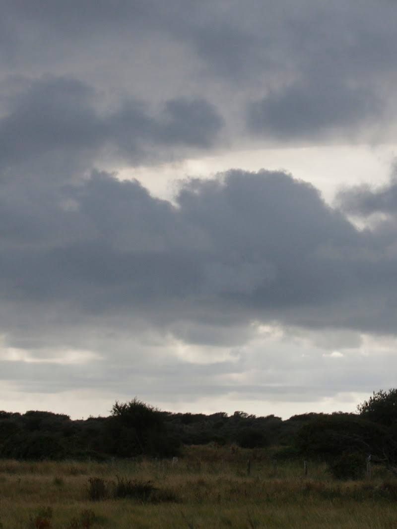NWT Holme Dunes Nature Reserve — Place photograph (1 of 3)