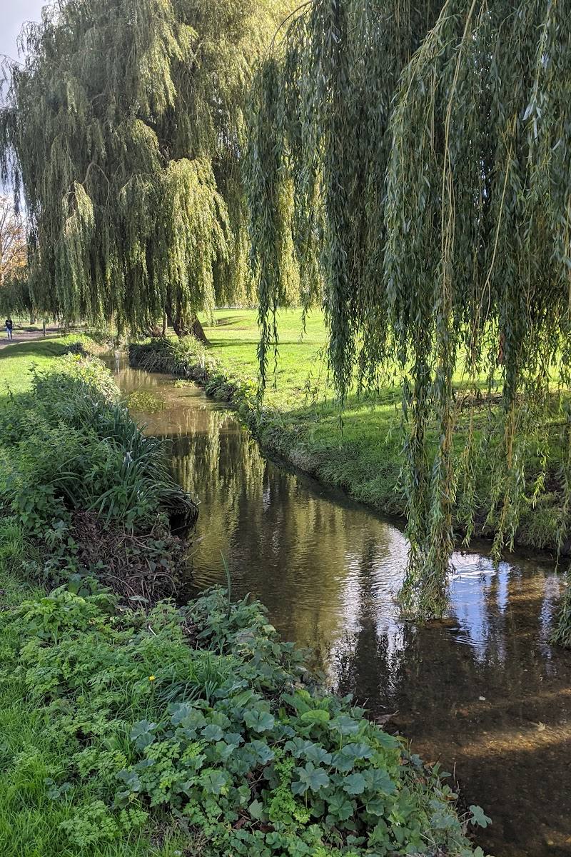 Oak Hill Park