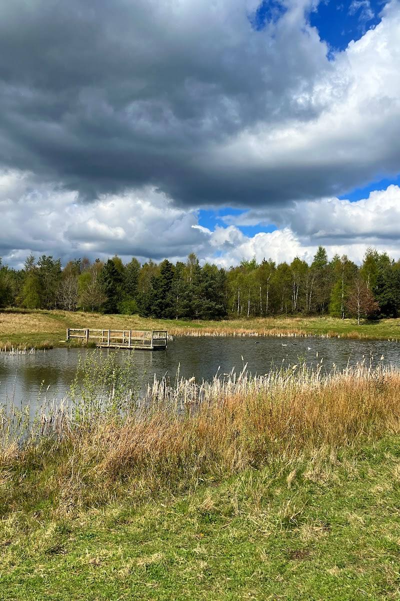 Oakenshaw Nature Reserve — Place photograph