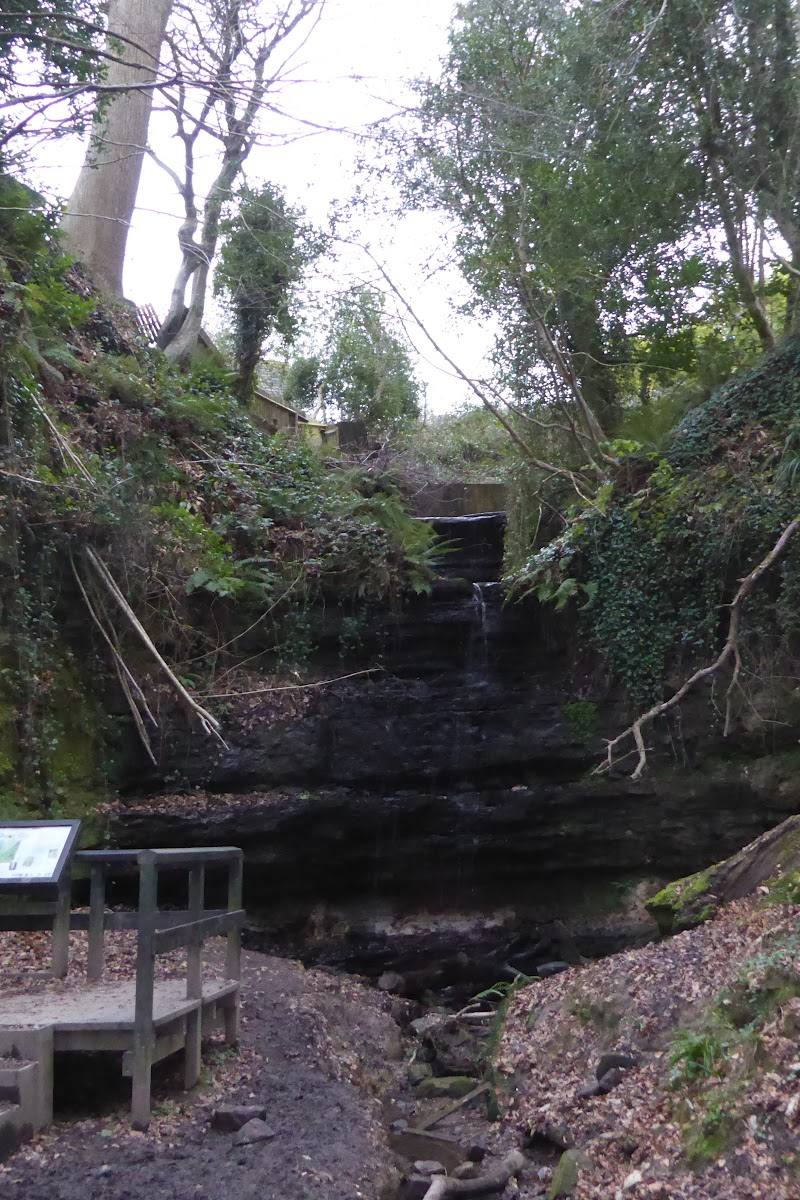 Old Roar Gill and Coronation Wood