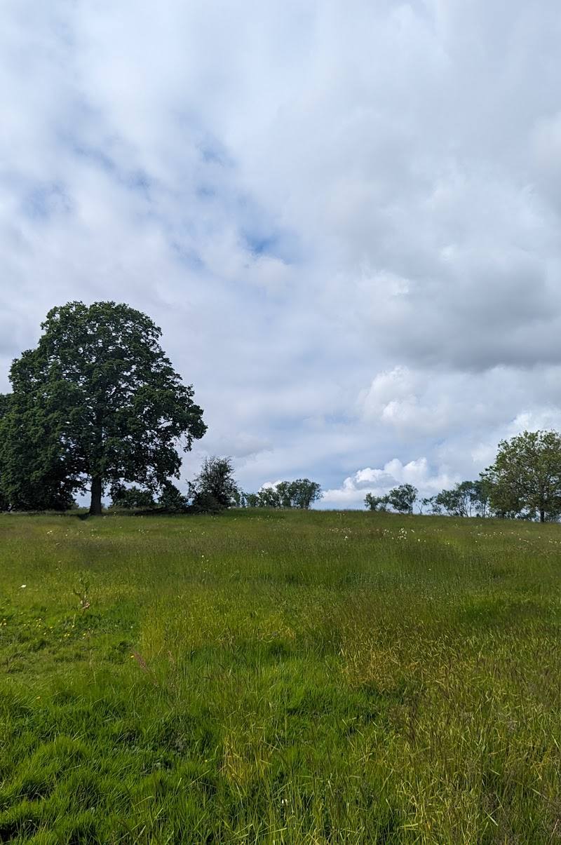 One Tree Hill Recreation Ground — Place photograph