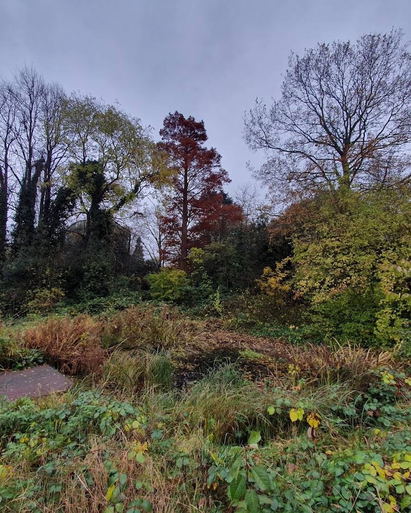 Palace Road Nature Reserve — Source image