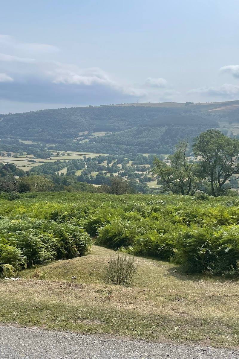 Panorama Walk