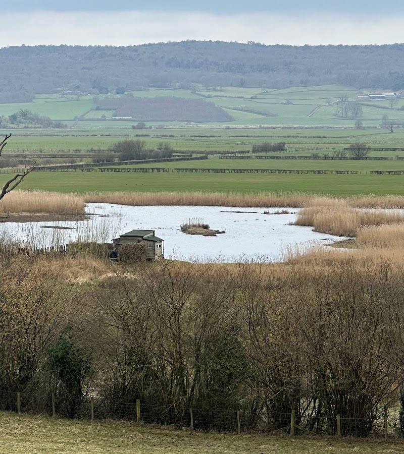Park End Moss Wetland Walk at Sizergh — Place photograph
