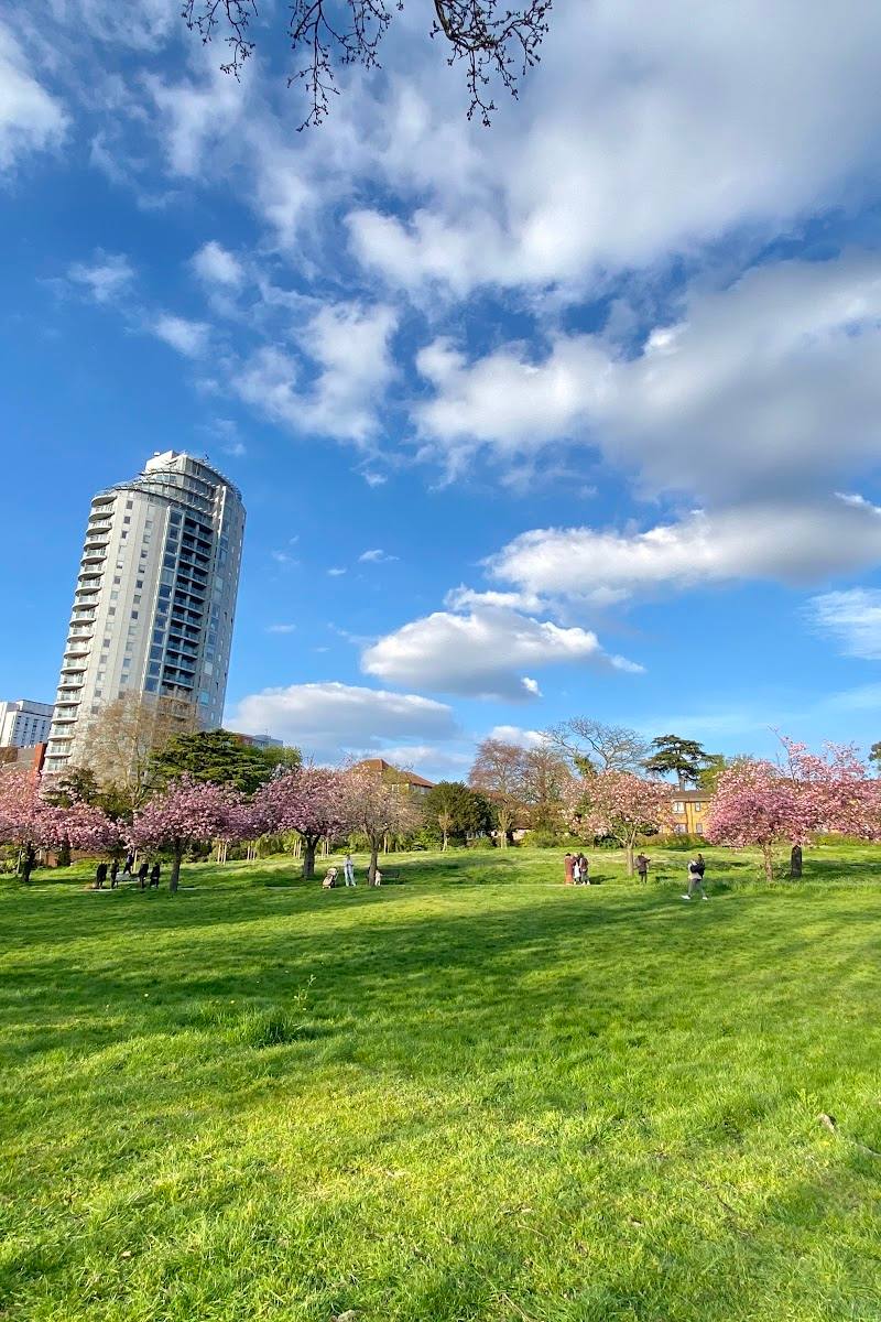 Park Hill Recreation Ground — Place photograph (2 of 3)