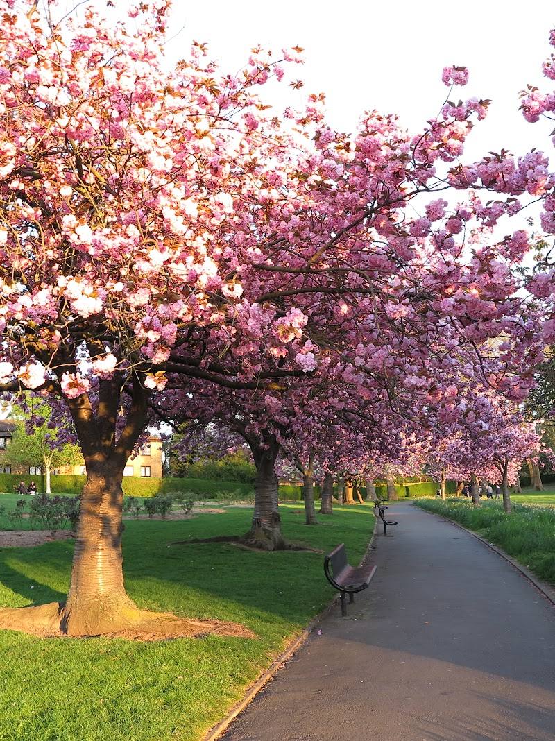 Park Hill Recreation Ground — Place photograph (1 of 3)
