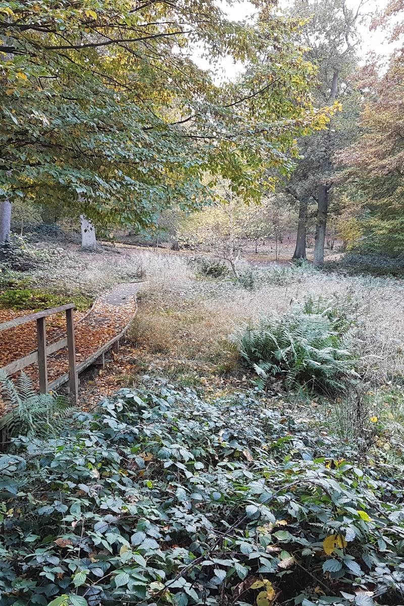 Parndon Wood Nature Reserve