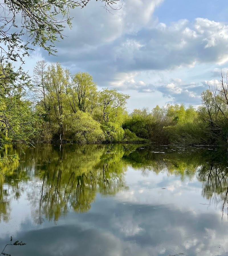 Paxton Pits Nature Reserve — Place photograph (3 of 3)