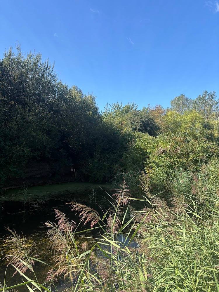 Peabody Tump 53 Nature Reserve — Source image