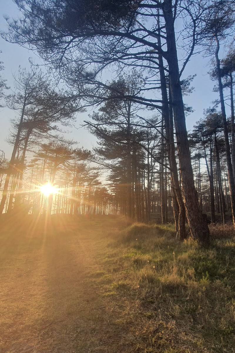 Pembrey Country Park — Place photograph