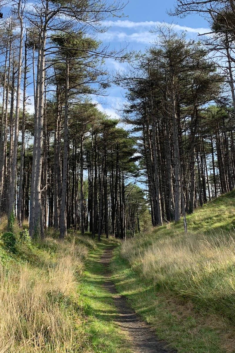 Pembrey Country Park