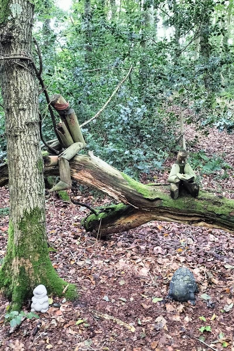 Pentraeth Forest — Place photograph (3 of 3)