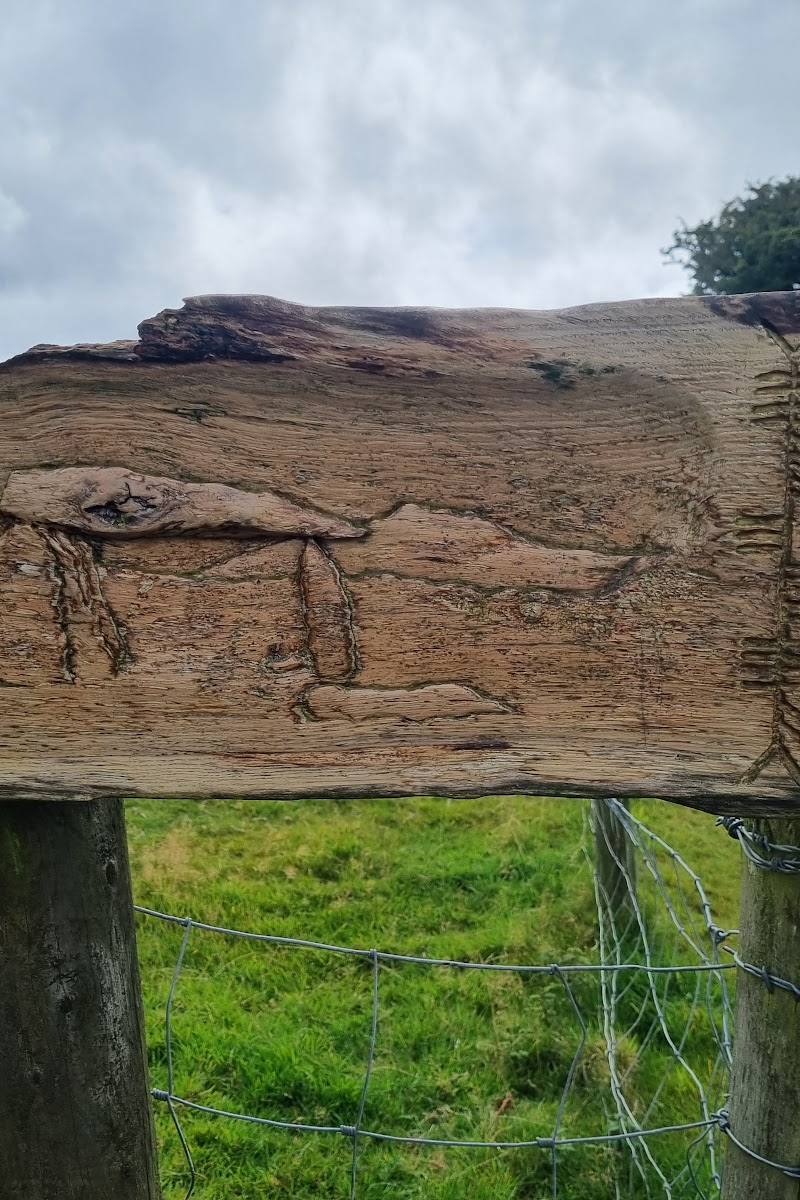 Pentre Ifan Burial Chamber
