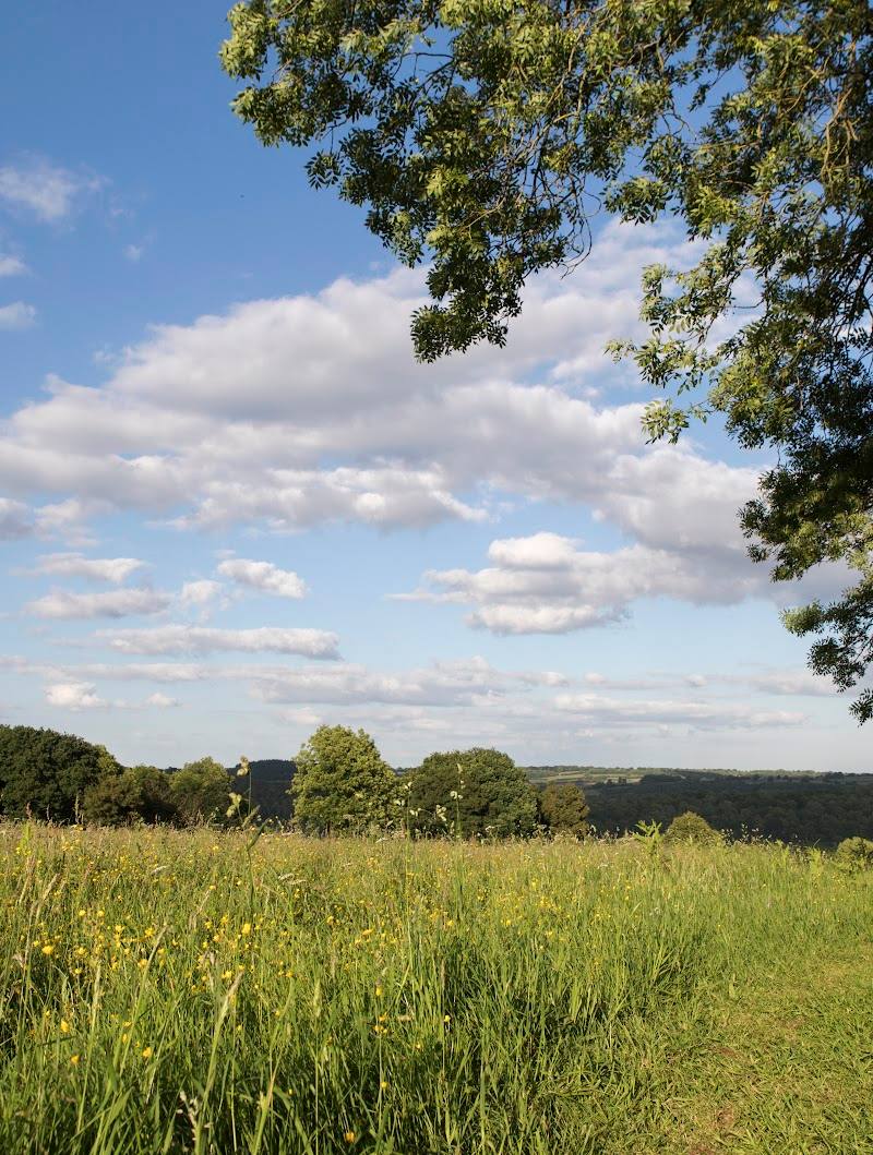 Pentwyn Farm - Gwent Wildlife Trust