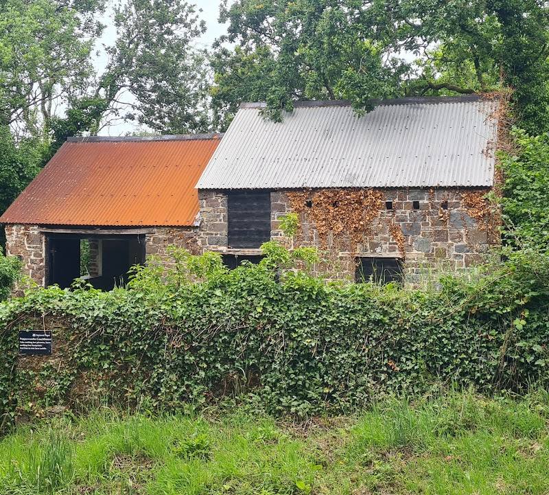 Peppercombe Valley — Place photograph