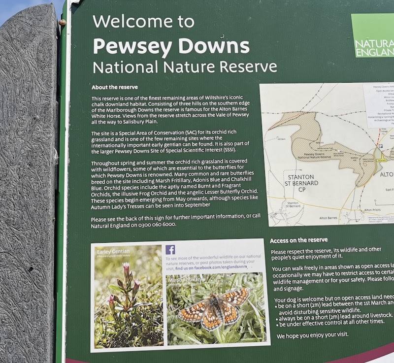Pewsey Downs National Nature Reserve