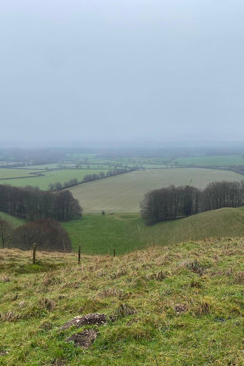 Pewsey Downs National Nature Reserve — Place photograph