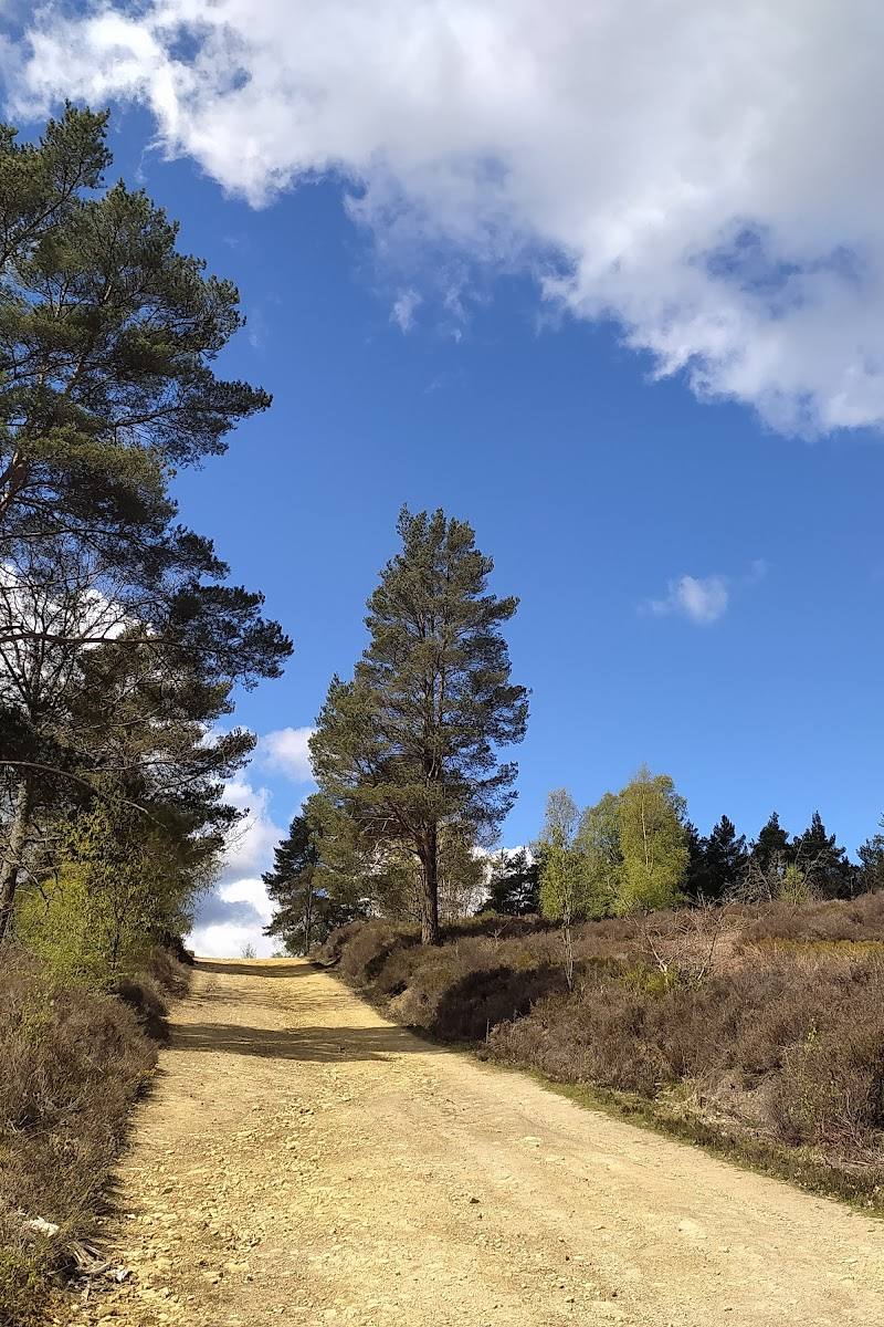 Pitch Hill — Place photograph (3 of 3)