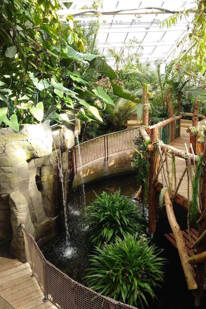 Plantasia